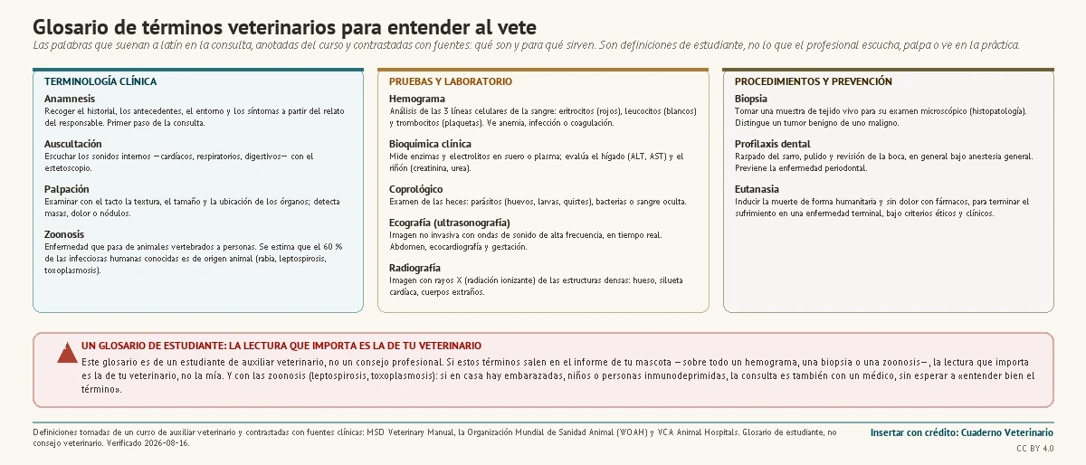 Glosario de términos veterinarios agrupados en terminología clínica (anamnesis, auscultación, palpación, zoonosis), pruebas y laboratorio (hemograma, bioquímica clínica, coprológico, ecografía, radiografía) y procedimientos y prevención (biopsia, profilaxis dental, eutanasia), cada uno con su definición, y el aviso de que es un glosario de estudiante y de que la lectura que importa es la del veterinario.